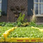 Archieffoto WdG - Duurzaam voedsel