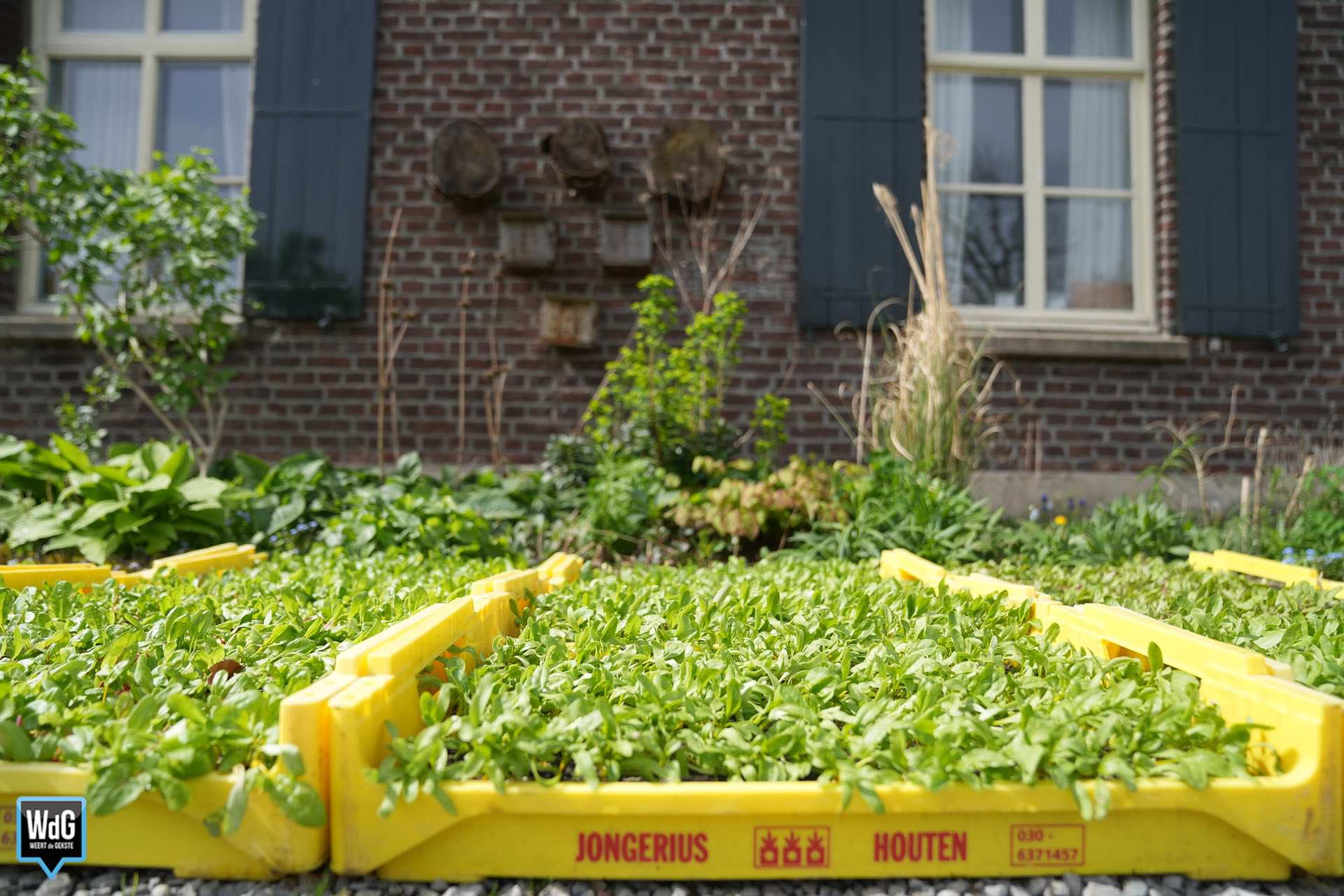 Archieffoto WdG - Duurzaam voedsel