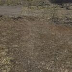 Archieffoto WdG - Terrein rondom Kempenweg