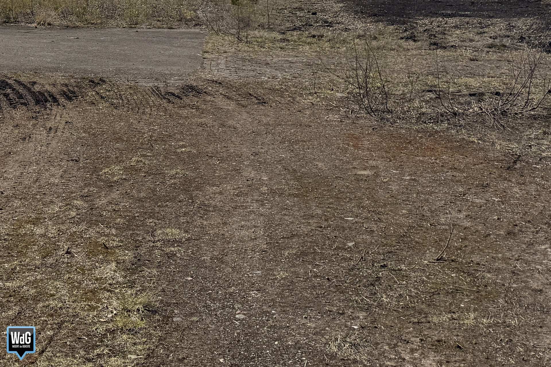 Archieffoto WdG - Terrein rondom Kempenweg