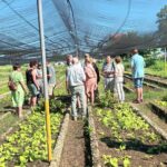 Stichting Cuba Adelante naar Cuba