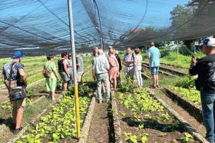 Stichting Cuba Adelante naar Cuba