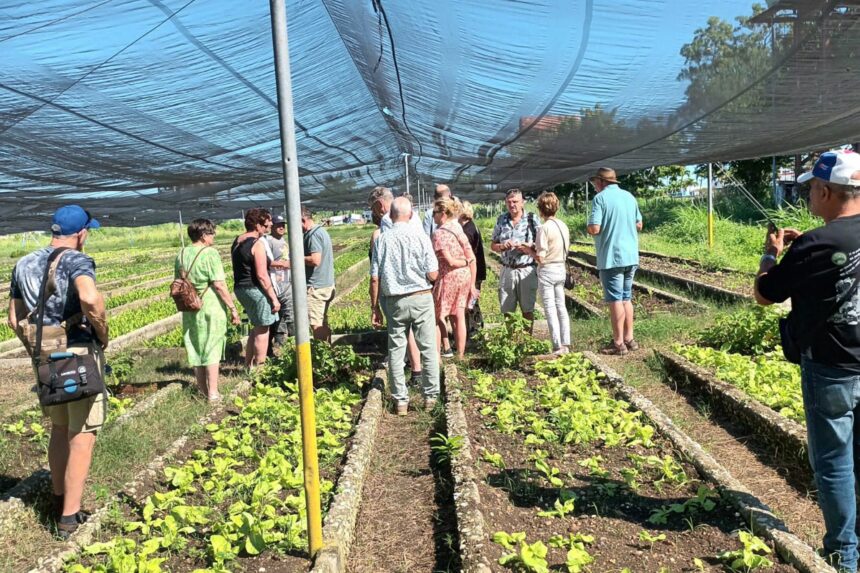 Stichting Cuba Adelante naar Cuba