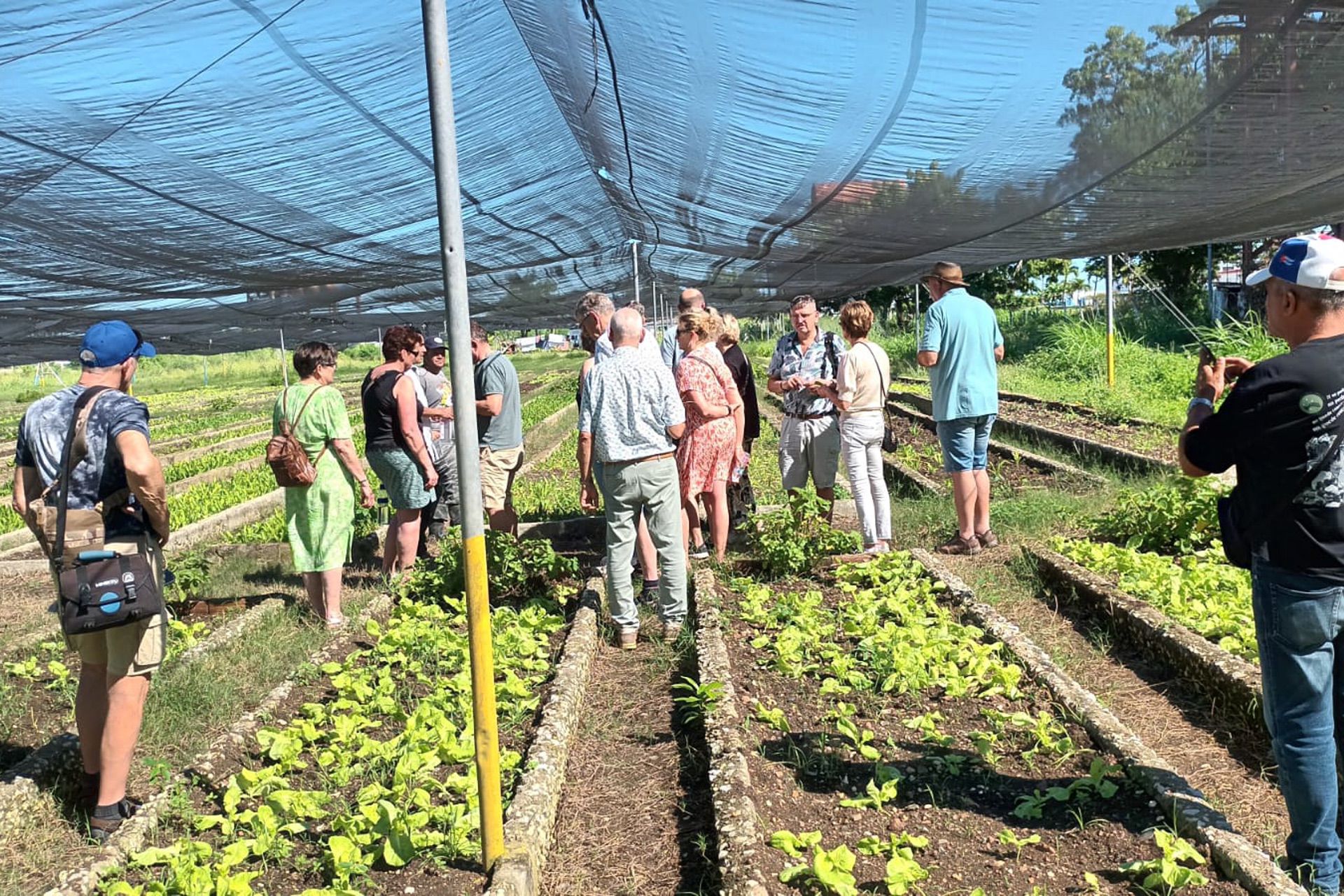 Stichting Cuba Adelante naar Cuba