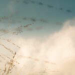 Overlijdensbericht Marij(ke) Smeets