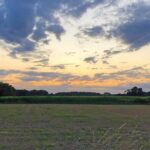 Archieffoto WdG - Beoogde locatie voor woningen Hushovervelden