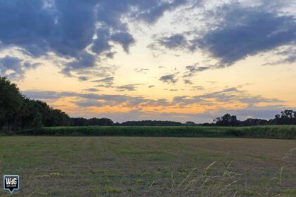 Archieffoto WdG - Beoogde locatie voor woningen Hushovervelden