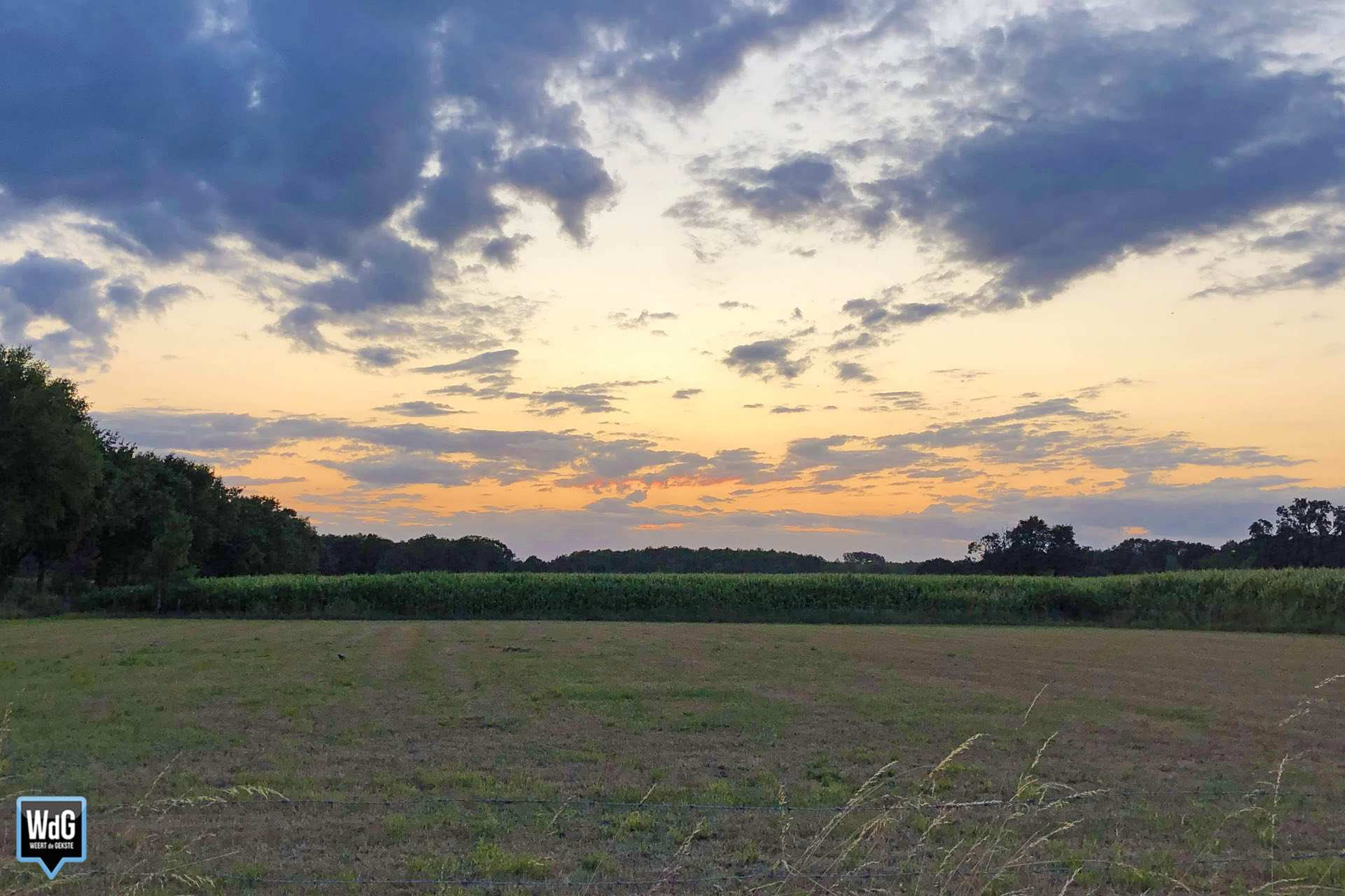 Archieffoto WdG - Beoogde locatie voor woningen Hushovervelden