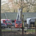 Brandweer redt kat uit boom op manegeterrein