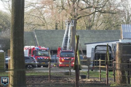 Brandweer redt kat uit boom op manegeterrein
