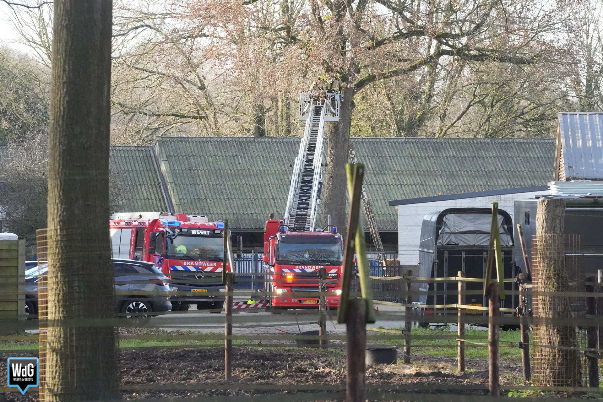 Brandweer redt kat uit boom op manegeterrein