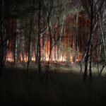 Flinke natuurbrand in Budel-Schoot