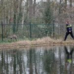 Ree zit gevangen bij omheind waterbassin