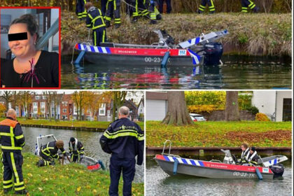 Voorbeeld van nepnieuws