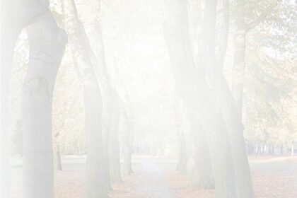 George Theo Jongstra