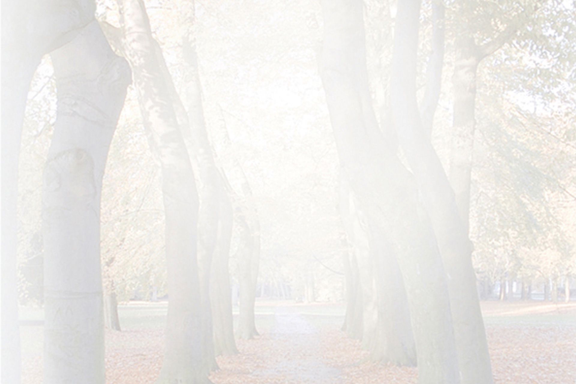 George Theo Jongstra