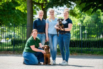 Lieke Coolen Dierfysiotherapie