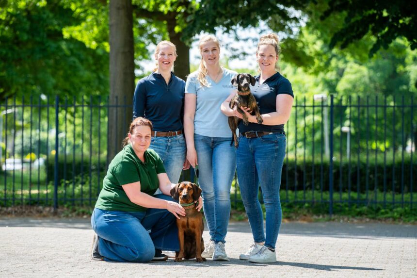 Lieke Coolen Dierfysiotherapie