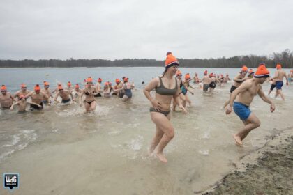 Tientallen deelnemers trotseren kou bij nieuwjaarsduik in Weert