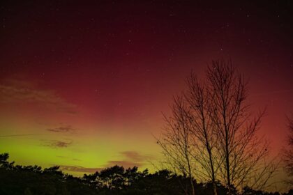 Fotograaf: Joris Linders - Locatie: Urnenveld Boshoverheide
