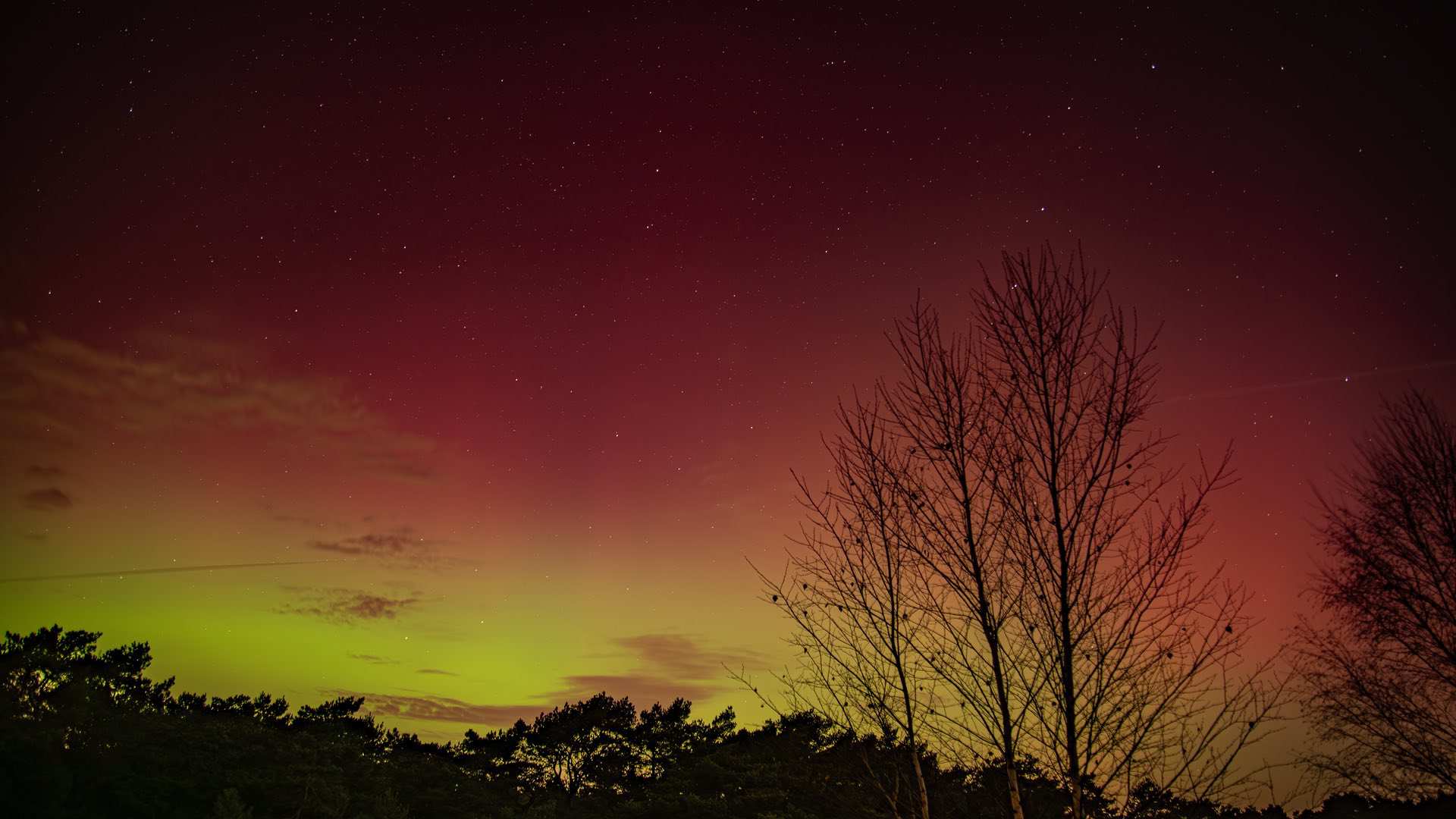 Fotograaf: Joris Linders - Locatie: Urnenveld Boshoverheide