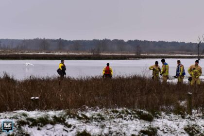 Brandweer rukt uit voor zwaan in ijs bij Gastel