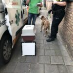 Opvang van dieren in Weert