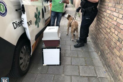 Opvang van dieren in Weert