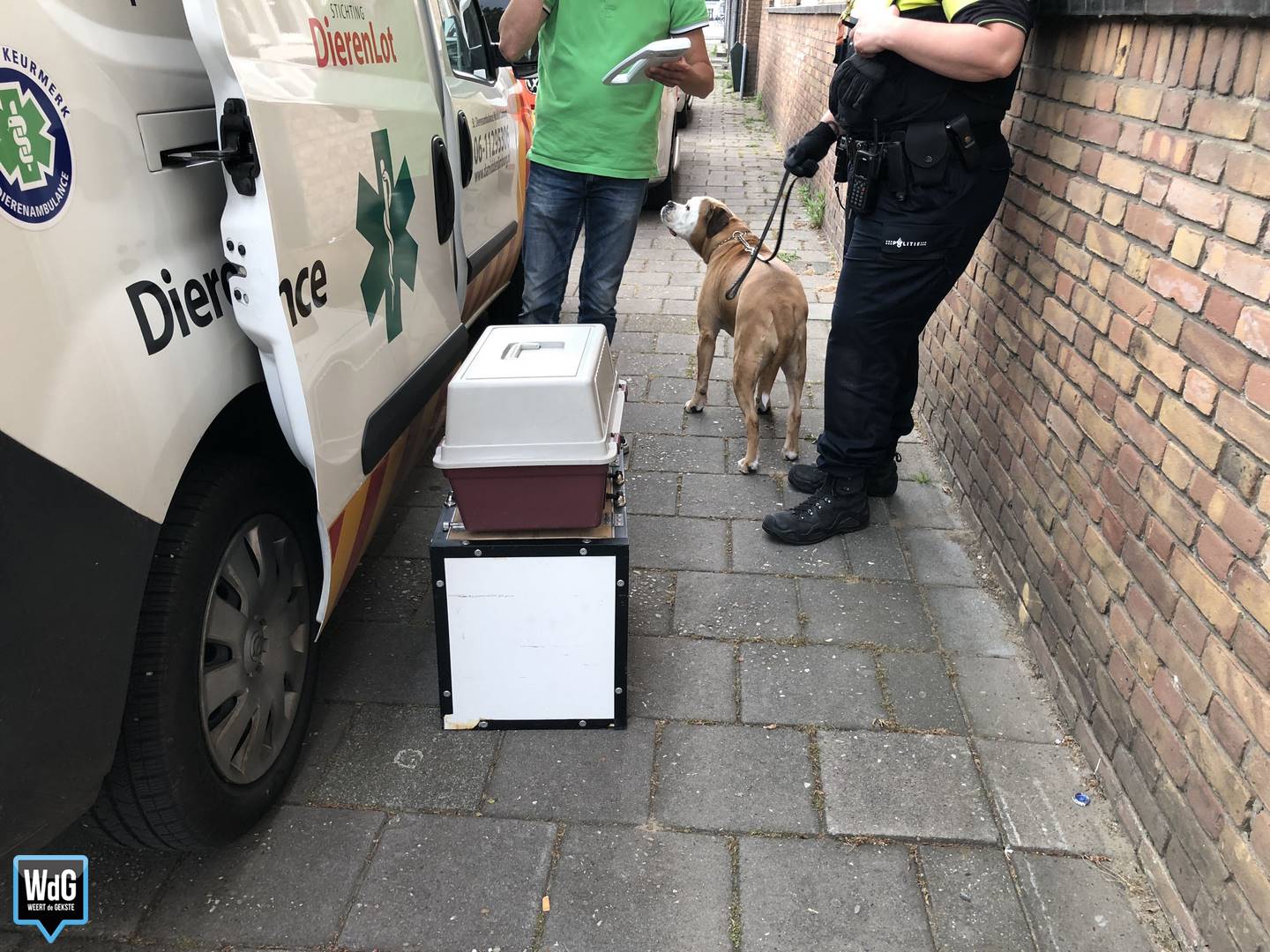 Opvang van dieren in Weert
