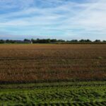 Archieffoto WdG - Willekeurig akker