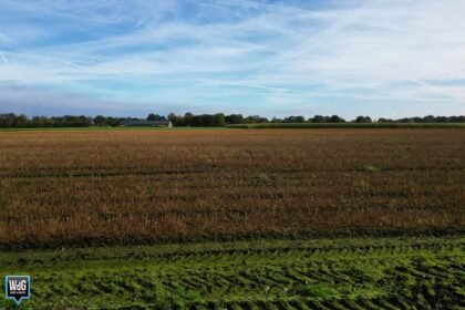 Archieffoto WdG - Willekeurig akker