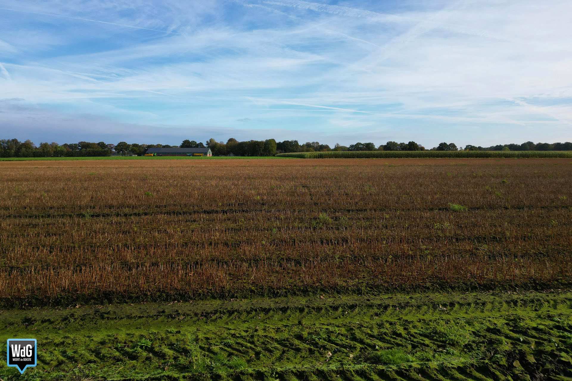 Archieffoto WdG - Willekeurig akker