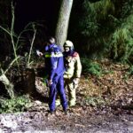 Opnieuw boom omgezaagd op Wessemerdijk in Nederweert