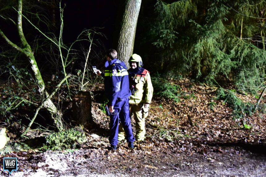 Opnieuw boom omgezaagd op Wessemerdijk in Nederweert