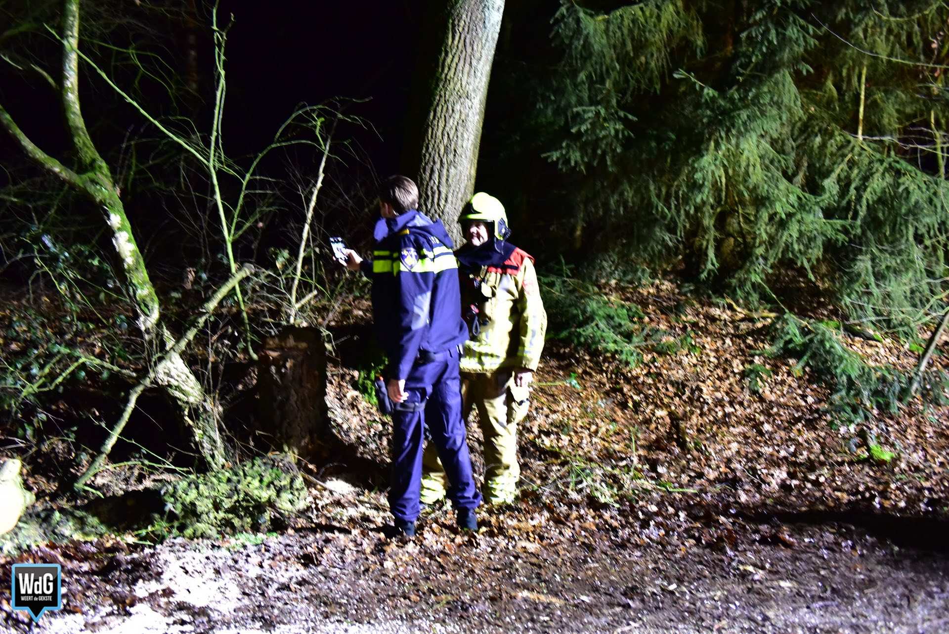 Opnieuw boom omgezaagd op Wessemerdijk in Nederweert