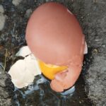 Kapot ei - Foto via depositphotos