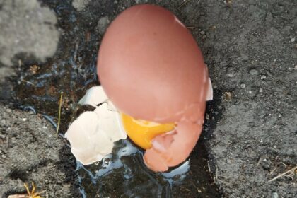 Kapot ei - Foto via depositphotos