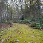 Natuurbegraafplaats Weerterland