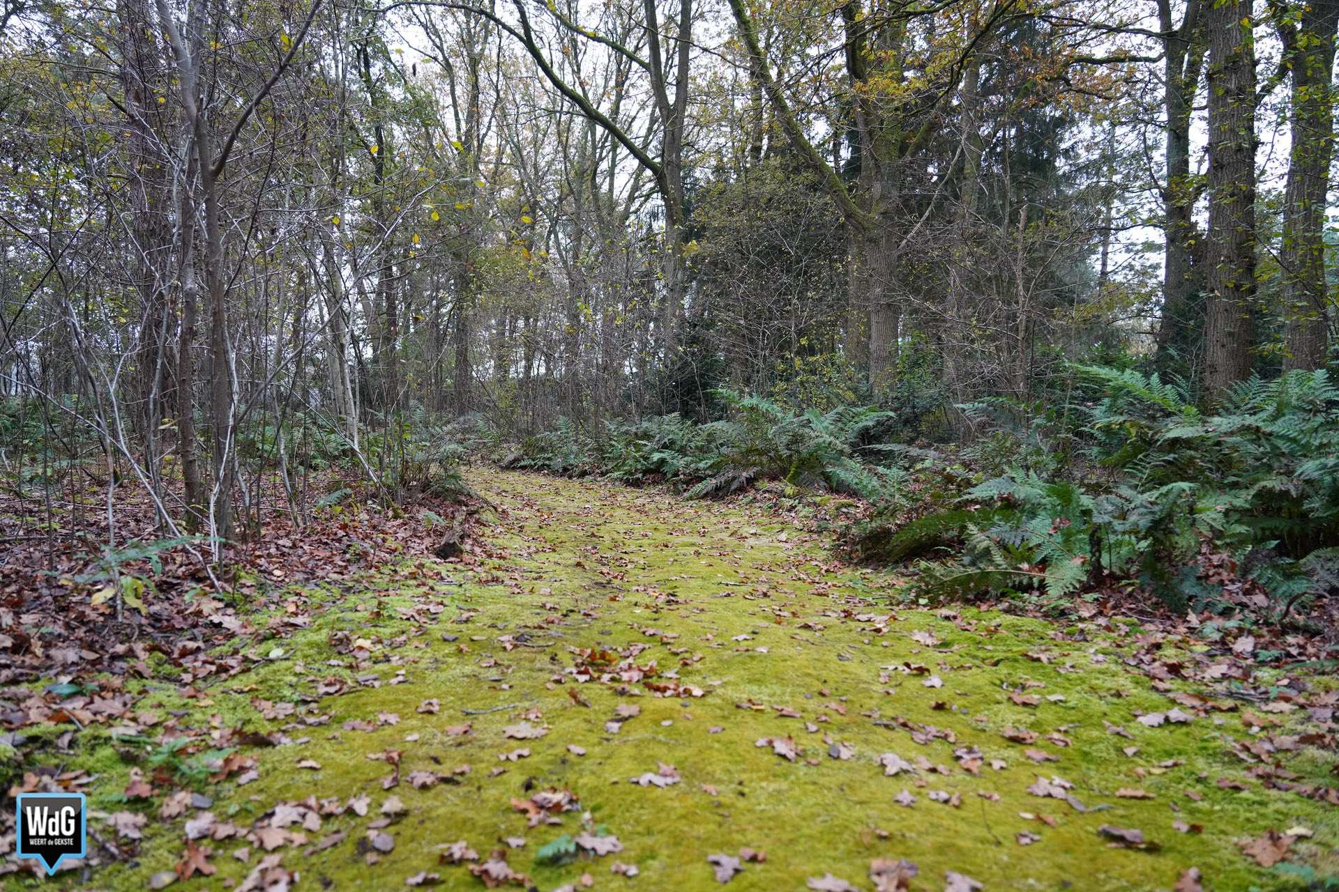 Natuurgraf bij Natuurbegraafplaats Weerterland steeds populairder