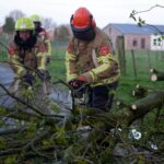 Brandweer verwijdert afgebroken boom op Tobbersdijk