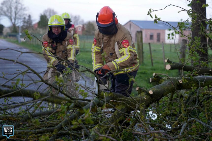 Brandweer verwijdert afgebroken boom op Tobbersdijk