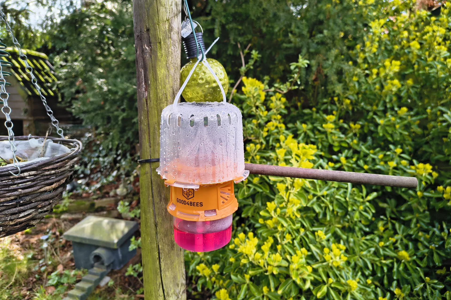 Wijkraad Leuken plaatst samen met bewoners vallen tegen hoornaars