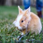 Foto via depositphotos