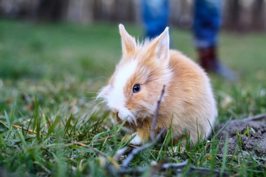 Foto via depositphotos