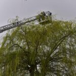 Kat houdt brandweer Weert twee keer bezig in Someren