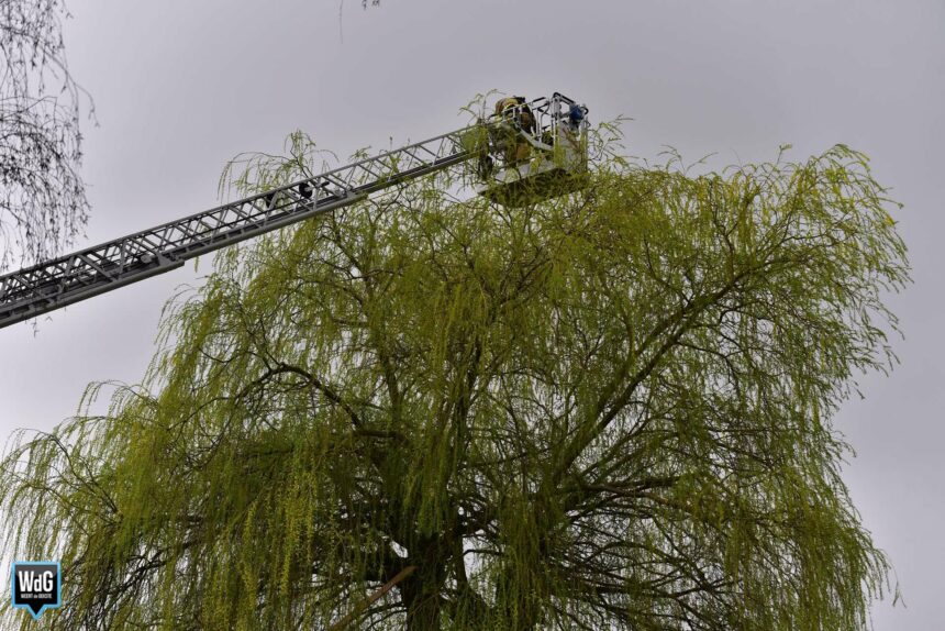 Kat houdt brandweer Weert twee keer bezig in Someren