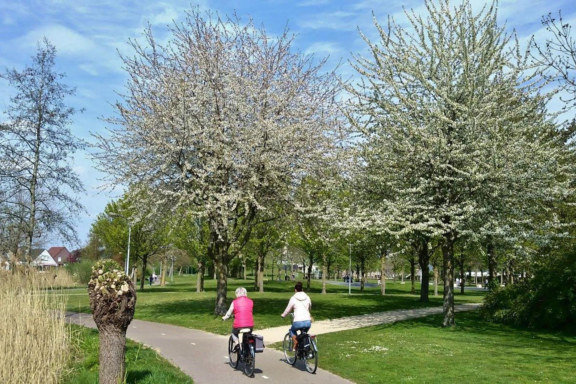 Foto via: Stichting Groen Weert