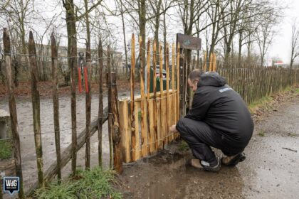 Vrijwilligers trotseren de regen tijdens NLdoet in Luuëkerpârk
