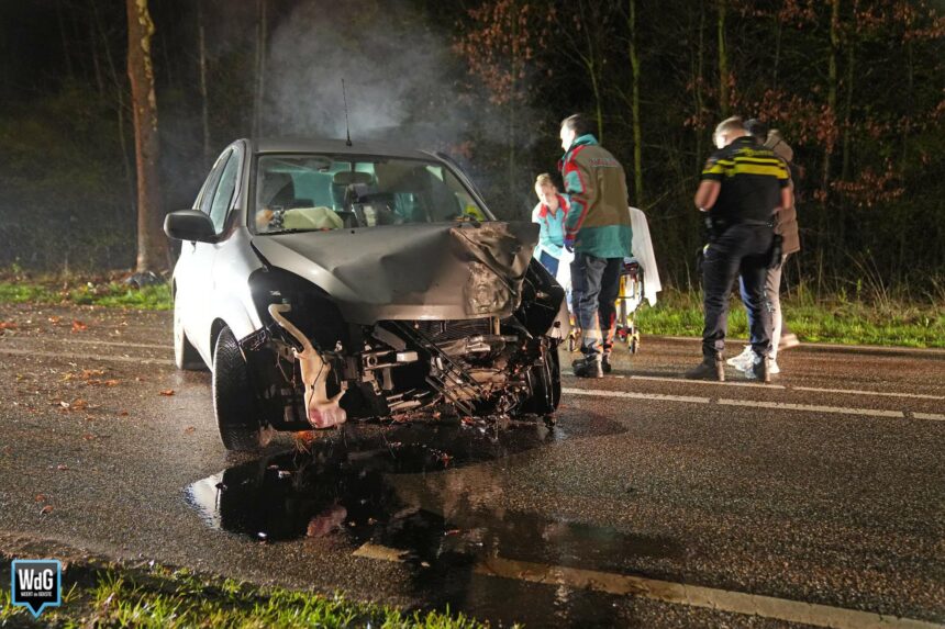 Bestuurster gewond na botsing tegen boom op Ringbaan-Oost
