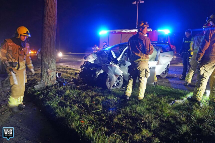 Auto botst frontaal tegen boom op Roermondseweg